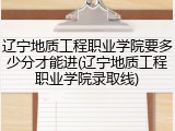 辽宁地质工程职业学院要多少分才能进(辽宁地质工程职业学院录取线)