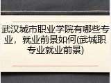 武汉城市职业学院有哪些专业，就业前景如何(武城职专业就业前景)