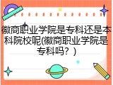 徽商职业学院是专科还是本科院校呢(徽商职业学院是专科吗？)