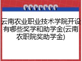 云南农业职业技术学院开设有哪些奖学和助学金(云南农职院奖助学金)