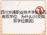 四川交通职业技术学院是否有双学位，为什么(川交院双学位原因)
