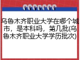 乌鲁木齐职业大学在哪个城市，是本科吗，第几批(乌鲁木齐职业大学学历批次)