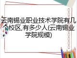 云南锡业职业技术学院有几个校区,有多少人(云南锡业学院规模)