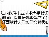 江西软件职业技术大学就读期间可以申请哪些奖学金(江西软件大学奖学金种类)