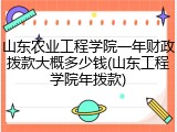 山东农业工程学院一年财政拨款大概多少钱(山东工程学院年拨款)