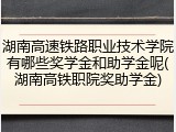 湖南高速铁路职业技术学院有哪些奖学金和助学金呢(湖南高铁职院奖助学金)