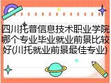 四川托普信息技术职业学院哪个专业毕业就业前景比较好(川托就业前景最佳专业)