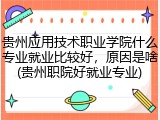 贵州应用技术职业学院什么专业就业比较好，原因是啥(贵州职院好就业专业)