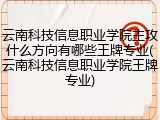 云南科技信息职业学院主攻什么方向有哪些王牌专业(云南科技信息职业学院王牌专业)