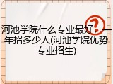 河池学院什么专业最好，一年招多少人(河池学院优势专业招生)