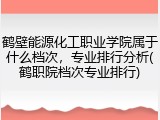 鹤壁能源化工职业学院属于什么档次，专业排行分析(鹤职院档次专业排行)