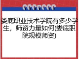 娄底职业技术学院有多少学生，师资力量如何(娄底职院规模师资)