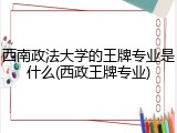 西南政法大学的王牌专业是什么(西政王牌专业)