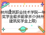 林州建筑职业技术学院一年奖学金最多能拿多少(林州建筑奖学金上限)
