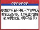 安徽商贸职业技术学院有没有就业指导，好就业吗(安徽商贸就业指导及前景)