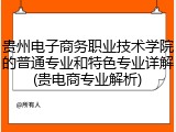 贵州电子商务职业技术学院的普通专业和特色专业详解(贵电商专业解析)