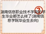 湖南信息职业技术学院的学生毕业都怎么样了(湖南信息学院毕业生去向)