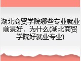 湖北商贸学院哪些专业就业前景好，为什么(湖北商贸学院好就业专业)