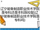 辽宁装备制造职业技术学院是专科还是本科院校呢(辽宁装备制造职业技术学院是专科吗)