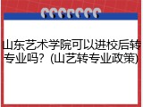 山东艺术学院可以进校后转专业吗？(山艺转专业政策)