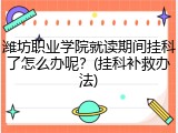 潍坊职业学院就读期间挂科了怎么办呢？(挂科补救办法)