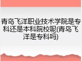 青岛飞洋职业技术学院是专科还是本科院校呢(青岛飞洋是专科吗)