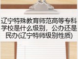辽宁特殊教育师范高等专科学校是什么级别，公办还是民办(辽宁特师级别性质)