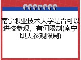 南宁职业技术大学是否可以进校参观，有何限制(南宁职大参观限制)
