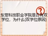 东营科技职业学院是否有双学位，为什么(双学位原因)