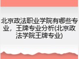 北京政法职业学院有哪些专业，王牌专业分析(北京政法学院王牌专业)