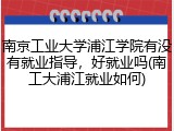 南京工业大学浦江学院有没有就业指导，好就业吗(南工大浦江就业如何)