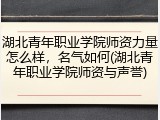 湖北青年职业学院师资力量怎么样，名气如何(湖北青年职业学院师资与声誉)