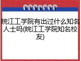 皖江工学院有出过什么知名人士吗(皖江工学院知名校友)