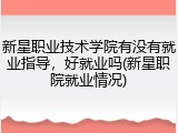 新星职业技术学院有没有就业指导，好就业吗(新星职院就业情况)