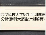 武汉科技大学招生计划详细分析(武科大招生计划解析)