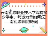 云南能源职业技术学院有多少学生，师资力量如何(云南能源职院规模)
