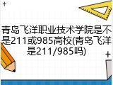 青岛飞洋职业技术学院是不是211或985高校(青岛飞洋是211/985吗)