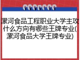 漯河食品工程职业大学主攻什么方向有哪些王牌专业(漯河食品大学王牌专业)