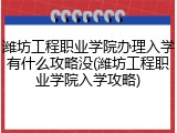 潍坊工程职业学院办理入学有什么攻略没(潍坊工程职业学院入学攻略)