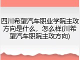 四川希望汽车职业学院主攻方向是什么，怎么样(川希望汽车职院主攻方向)