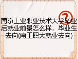 南京工业职业技术大学毕业后就业前景怎么样，毕业生去向(南工职大就业去向)