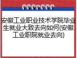 安徽工业职业技术学院毕业生就业大致去向如何(安徽工业职院就业去向)