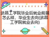 武昌工学院毕业后就业前景怎么样，毕业生去向(武昌工学院就业去向)