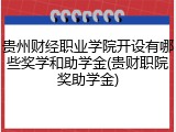 贵州财经职业学院开设有哪些奖学和助学金(贵财职院奖助学金)