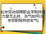 北京劳动保障职业学院师资力量怎么样，名气如何(北京劳职院师资名气)