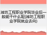 潍坊工程职业学院毕业后一般能干什么呢(潍坊工程职业学院就业去向)