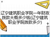 辽宁建筑职业学院一年财政拨款大概多少钱(辽宁建筑职业学院拨款多少)