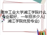 南京工业大学浦江学院什么专业最好，一年招多少人(浦江学院优势专业)