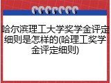哈尔滨理工大学奖学金评定细则是怎样的(哈理工奖学金评定细则)