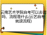 云南艺术学院自考可以去读吗，流程是什么(云艺自考就读流程)